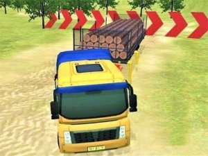 Mountain Cargo Transport Driver