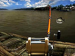 Sport Fishing Online Game