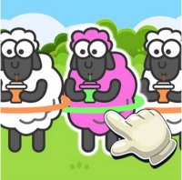 Sheep Sort Puzzle: Color Sorting Game