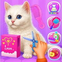 Kitty Groom & Style Adventure