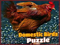 Backyard Birds Jigsaw Puzzle