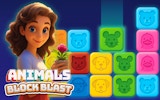 Animal Block Match Puzzle