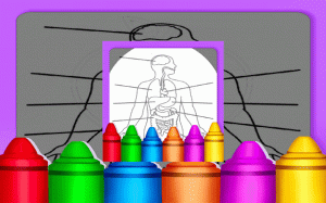 Hard Body Coloring For Kids: Anatomy Coloring Book