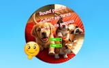 Round Canine Picture Puzzle