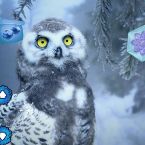 Winter Wonderland Adventure Puzzle Game