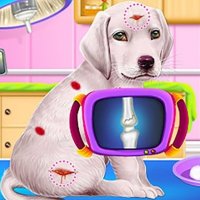 Puppy Care Playtime
