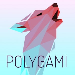 Polygami Puzzle Game