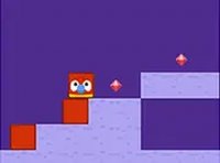 Caio Bird Block Collection Adventure