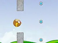 Owl Flight Challenge