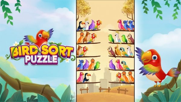 Feathered Logic: A Color Arrangement Puzzle